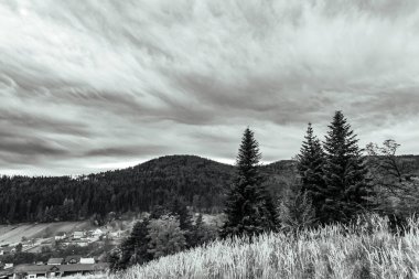 a vertical shot of a cloudy day in the carpathian mountains