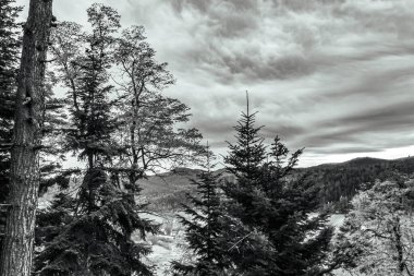 beautiful mountain landscape in the mountains, nature background