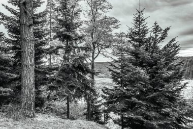 Dağlarda gölü olan güzel bir manzara.