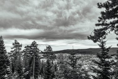 Karpat Dağları 'nın dağ manzarası. Orman karla kaplı.