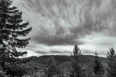 Ağaçlar ve bulutlarla dolu güzel bir manzara.