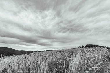Dağların üzerinde gökyüzünde siyah beyaz bulutlar. siyah beyaz fotoğraf