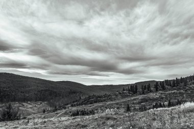 Dağlardaki ormanın üzerinde siyah beyaz bulutlar