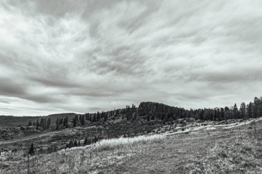 Dağları ve ormanı olan güzel bir manzara.