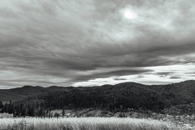 Yazın Karpatlar 'ın dağları. siyah ve beyaz.