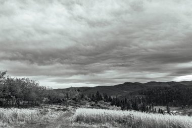 Ormanın üzerinde fırtına