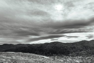 Bulutlu bir gökyüzündeki ağaçların gri tonlu görüntüsü.