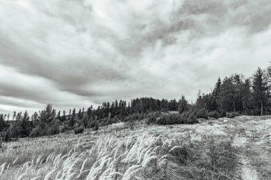 Sonbahar dağlarının siyah ve gri manzarası