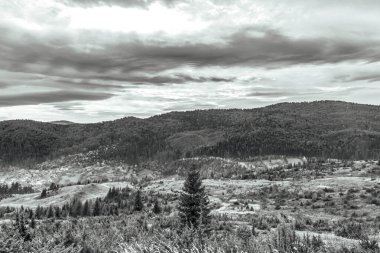 Ormanın ortasındaki kayalık dağların gri tonlu görüntüsü.