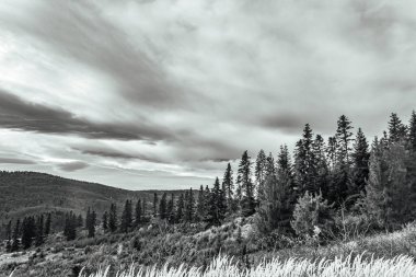 Bulutlu bir günde eski bir tahta dağın dikey görüntüsü.