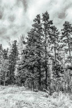 Dağların güzel manzarası