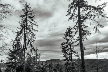 Dağların güzel manzarası, seyahat