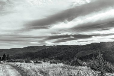 Güzel bir orman yolunda siyah beyaz bulutlar