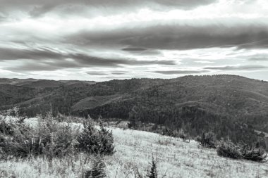 Karpatlar 'da siyah dağ