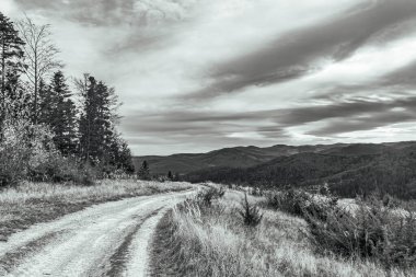 Karpat Dağları 'ndaki dağ yolunda ormanı olan bir yolun siyah beyaz fotoğrafı, Ukrayna