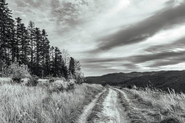 Dağlardaki bir yolun siyah beyaz fotoğrafı.