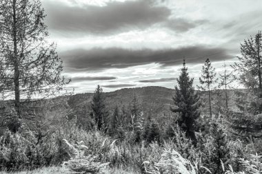 Karlı güzel kış manzarası