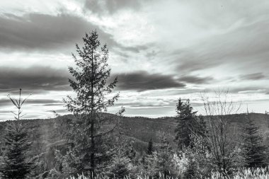 Doğanın güzel manzarası