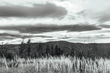 Dağların güzel manzarası