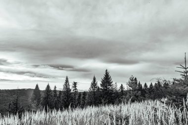 Bulutlu güzel dağ manzarası