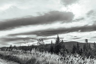 Dağların güzel manzarası