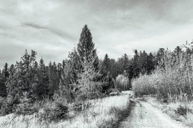 Doğanın güzel manzarası