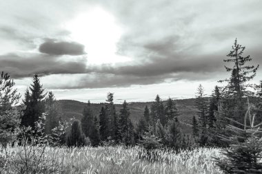 Doğanın güzel manzarası