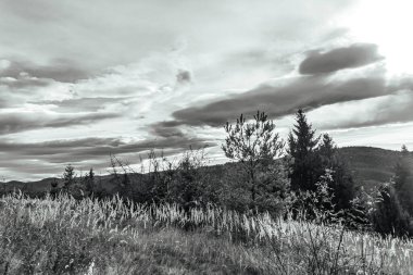 Dağlarda dağları olan güzel bir manzara.