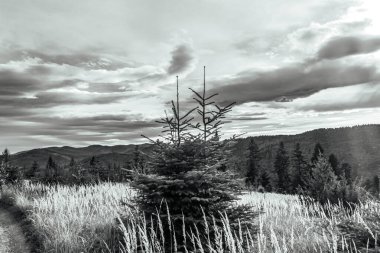 Dağlarda dağ yolu olan güzel bir manzara.