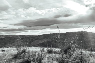 Dağların güzel manzarası