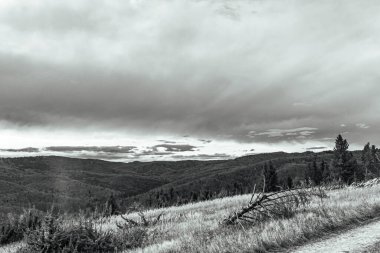 Bulutlu bir gökyüzünün altında yeşilliklerle çevrili güzel bir dağ yolunun dikey çekimi.