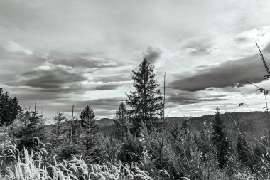 Siyah-beyaz dağlardaki güzel bir dağ manzarasının dikey görüntüsü.