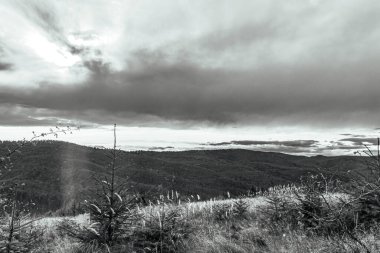 Arka planda ağaçlar olan güzel bir manzara.