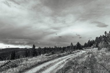 a vertical shot of the road in the mountains