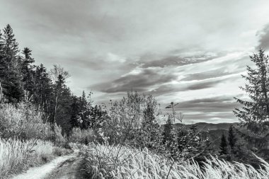 Karpat Dağları 'ndaki siyah ve beyaz manzara
