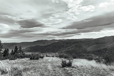 Ukrayna Karpatlarının güzel dağ manzarası