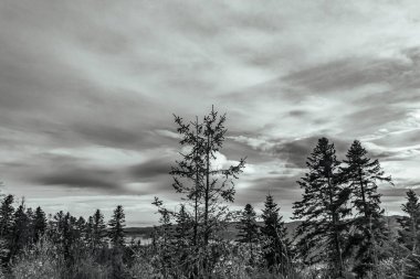 Kanada, Alberta 'daki Kanada kayalarının güzelliği. Kanada kayalıkları..