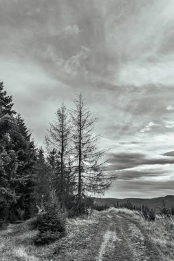 Dağlardaki bir yolun siyah beyaz görüntüsü
