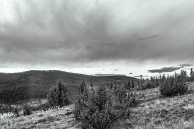 Ormandaki dağların üzerinde fırtına bulutları