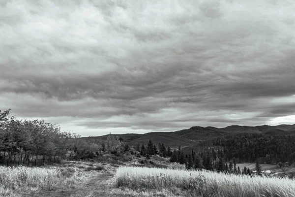 Ormanın üzerinde fırtına