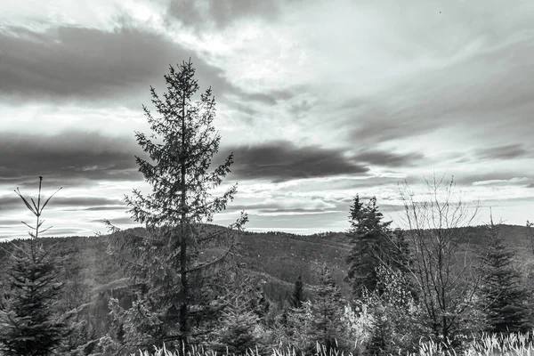 Doğanın güzel manzarası