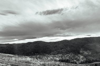 Dağlarda bir ağacı olan güzel bir manzara.