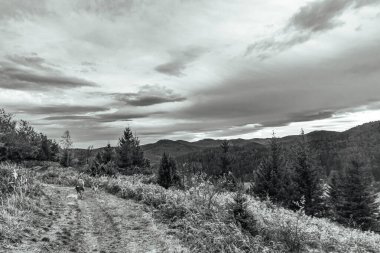 Arka planda dağlarda sıradağları olan güzel bir manzara..