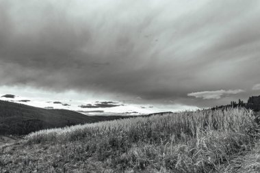 Dağlı güzel bir manzara.