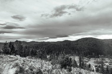 Arkaplanda dağların güzel manzarası