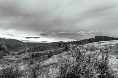 Ağaçlı güzel dağ manzarası