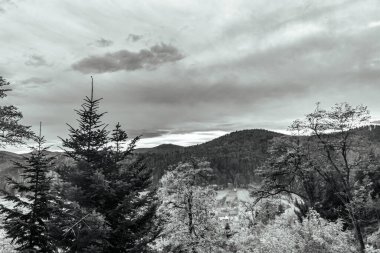 black and white mountain in autumn