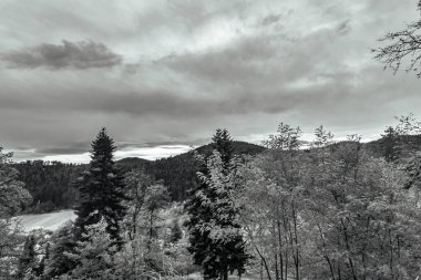 Arkasında bir dağ olan güzel bir manzara.