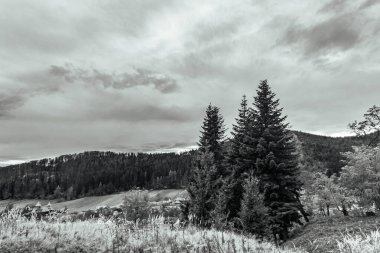 Bir dağ sırasının siyah beyaz fotoğrafı.