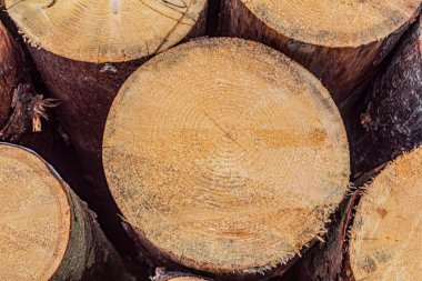 istiflenmiş ahşap dokunun arkaplanı